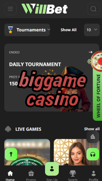 Biggame Casino - High-Stakes Gambling-www.bdqngd.com
