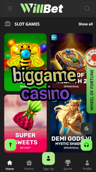 Biggame Casino - High-Stakes Gambling-www.bdqngd.com